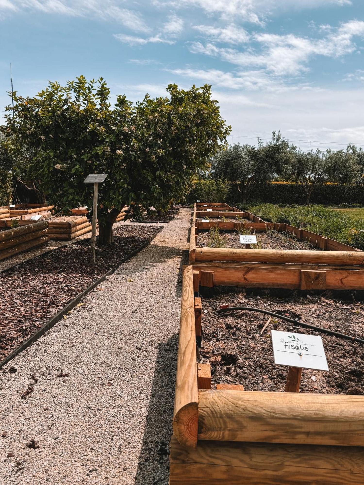 Quinta Dos Perfumes Villa Tavira Dış mekan fotoğraf