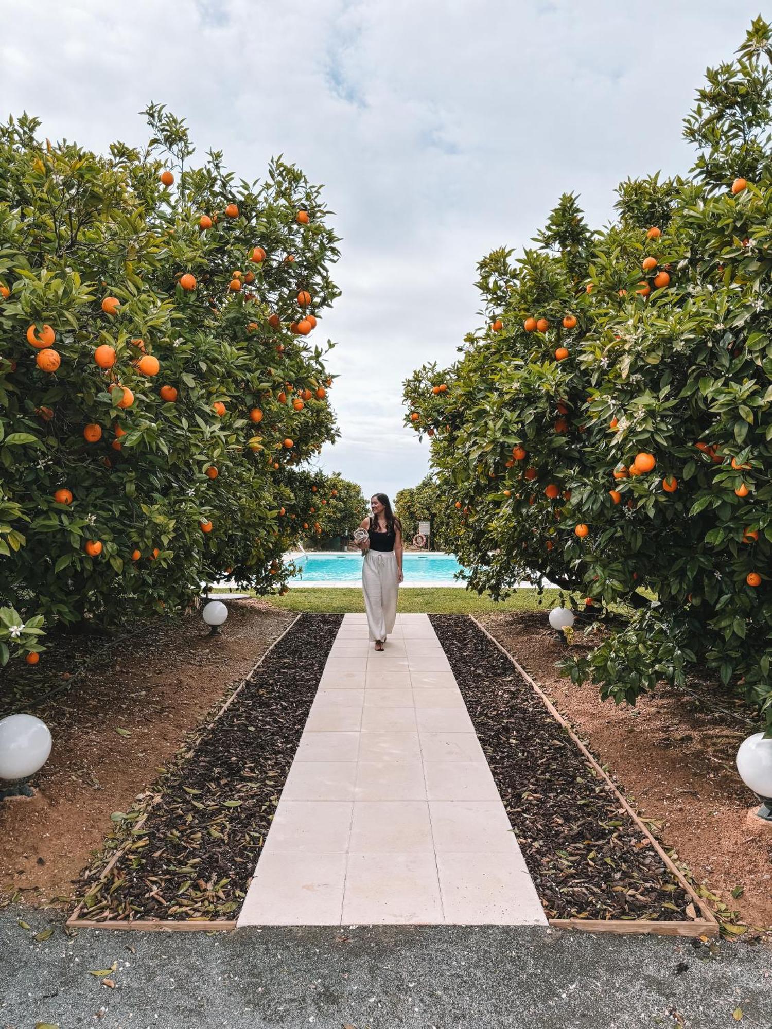 Quinta Dos Perfumes Villa Tavira Dış mekan fotoğraf