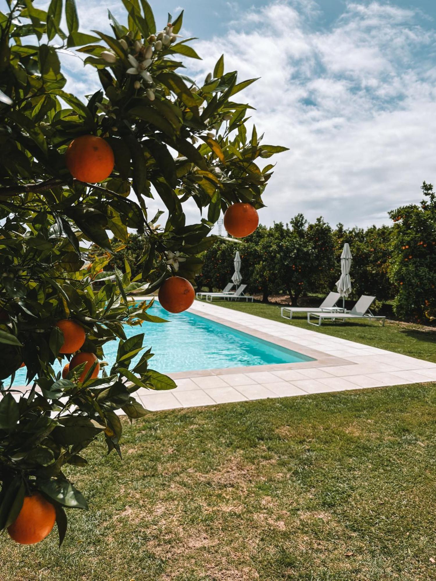 Quinta Dos Perfumes Villa Tavira Dış mekan fotoğraf