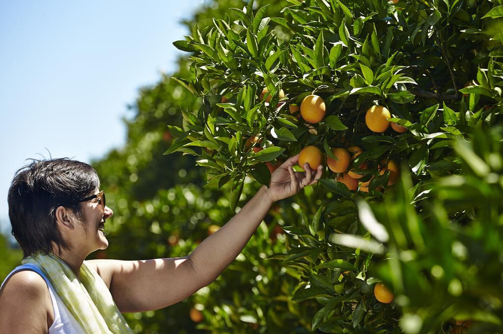 Quinta Dos Perfumes Villa Tavira Dış mekan fotoğraf